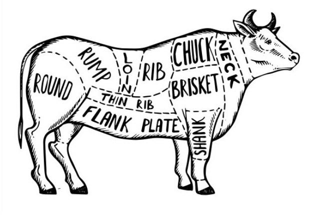 YF&R Beef Fundraiser beef cuts illustration
