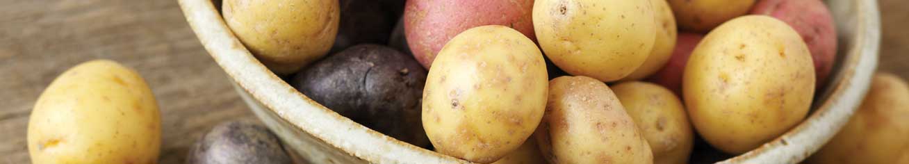 Maine Farm Bureau Page Banner